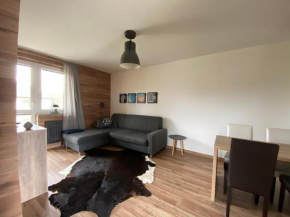 Гостиница Apartment Dolní Moravice Jeseníky  Дольни Моравице